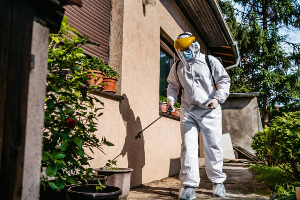 Best Local Pest Control Services  in Waukegan, IL