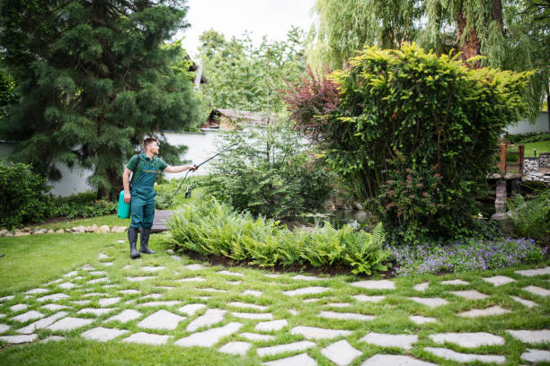 Best Pest Control Near Me  in Waukegan, IL