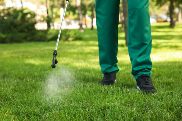 Best Rat Extermination Near Me  in Waukegan, IL