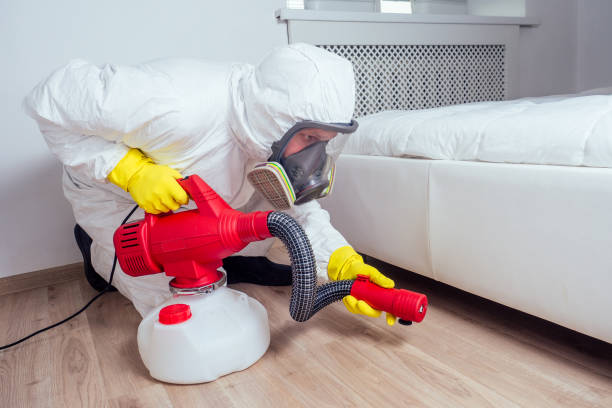 Best Affordable Pest Control Services  in Waukegan, IL