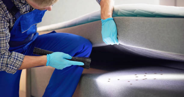 Best Flea Control Services  in Waukegan, IL
