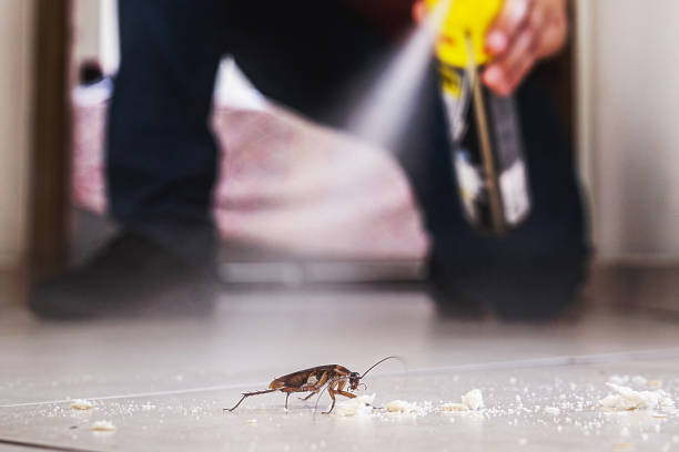 Best Best Pest Control Companies  in Waukegan, IL