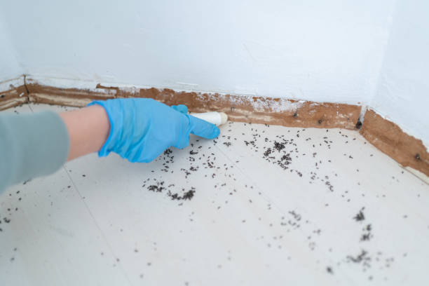 Best Commercial Pest Control Services  in Waukegan, IL
