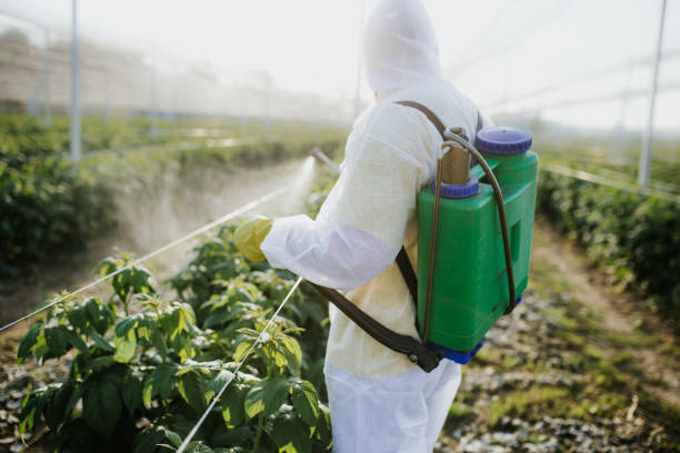 Best Best Pest Control Companies  in Waukegan, IL